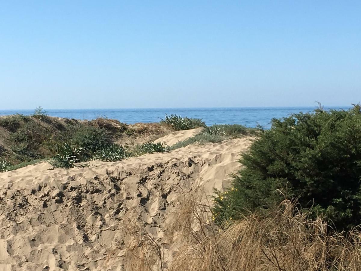 Estudio Primera Linea 50 Mtrs Playa. Fibra 600Mb Marbella Kültér fotó